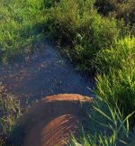 Limpieza y colocación de tubos en el Asentamiento Primavera