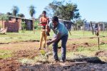 Continuamos con la Arborizacion en el Barrio 11 de Septiembre